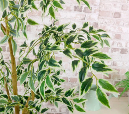 Artificial Silk French Ficus Spray Tree 180cm