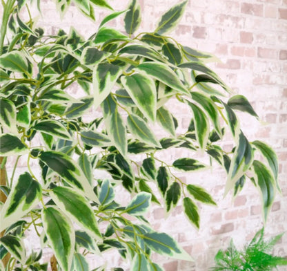 Artificial Silk French Ficus Spray Tree 180cm