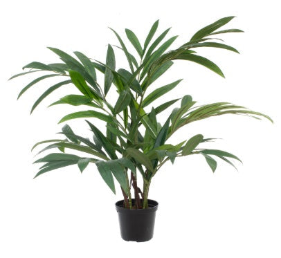 Artificial Silk Parlour Palm Plant FR