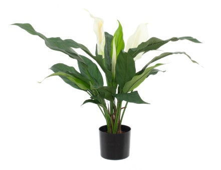 Artificial Silk Spathiphyllum Plant FR