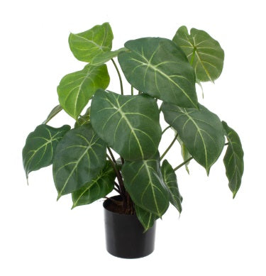 Artificial Silk Philodendron Selloum FR