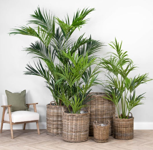 Oxford Collection Planters