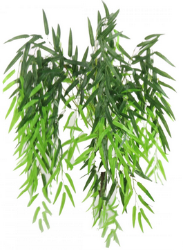 Artificial Silk Weeping Willow Branch 10 pack